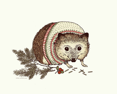 Cozy Hedgehog